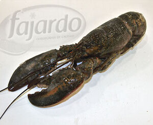 Bogavante crudo unidad (350/450 grs)