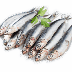 Boquerón especial 600gr