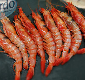 Gamba Roja