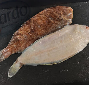 lenguado nacional grande