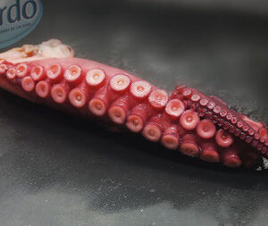 Pata de pulpo cocida