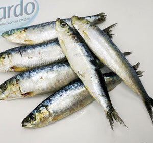 Sardina Entera 600gr