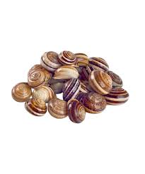 Caracoles EXTRA 500g 130-150un/kg