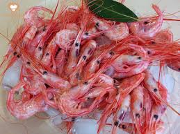 Quisquilla cocida (P)