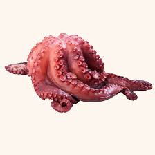 Medio pulpo cocido en su jugo