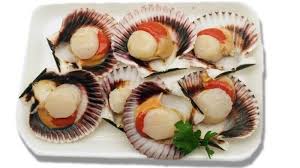 Zamburiñas 20/30 pzs/KG