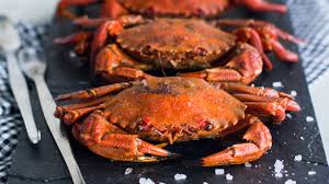 Necora cocida irlnda